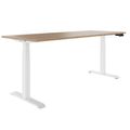 TELDRA Pro, 2-Motoren-Schreibtisch | 1200 - 2000 mm, elektrisch höhenverstellbar, Bernsteineiche - 1 Thumbnail Image