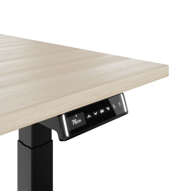 TELDRA Pro, 2-Motoren-Schreibtisch | 1600 - 1800 mm, elektrisch höhenverstellbar, Sandesche