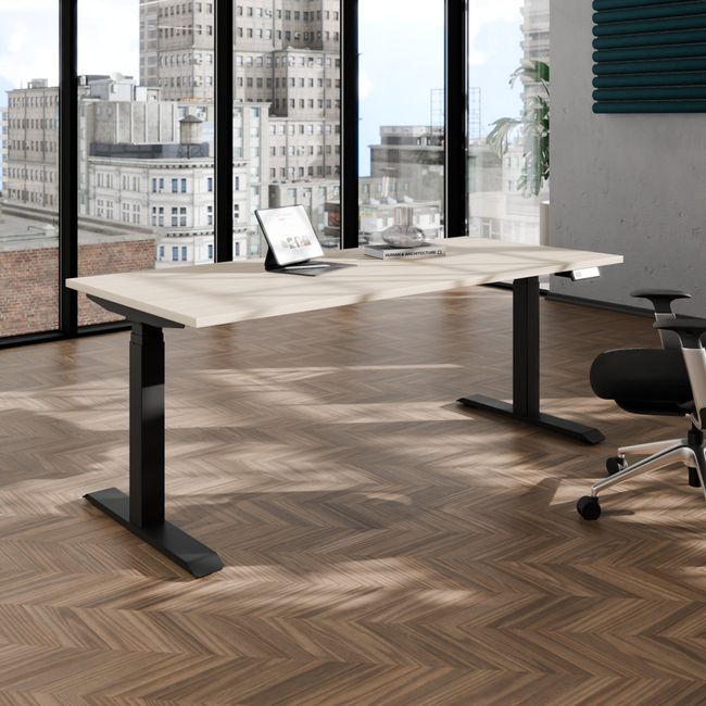 TELDRA Pro, 2-Motoren-Schreibtisch | 1600 - 1800 mm, elektrisch höhenverstellbar, Sandesche