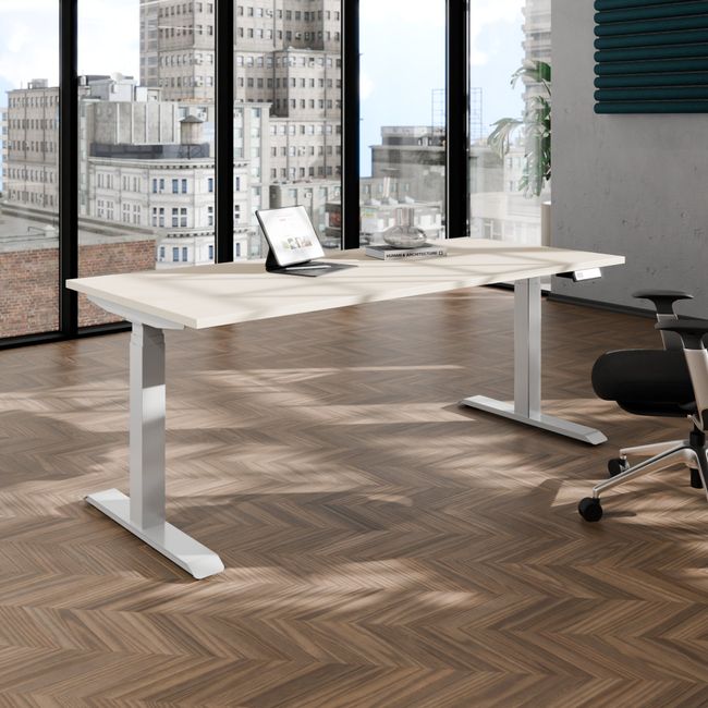 TELDRA Pro, 2-Motoren-Schreibtisch | 1600 - 1800 mm, elektrisch höhenverstellbar, Ahorn