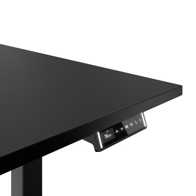 TELDRA Pro, 2-Motoren-Schreibtisch | 1600 - 2000 mm, elektrisch höhenverstellbar, Linoleum Charcoal