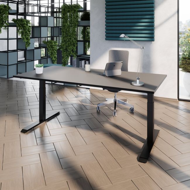 TELDRA Pro, 2-Motoren-Schreibtisch | 1600 - 2000 mm, elektrisch höhenverstellbar, Linoleum Charcoal