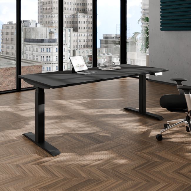 TELDRA Pro, 2-Motoren-Schreibtisch | 1600 - 2000 mm, elektrisch höhenverstellbar, Linoleum Charcoal