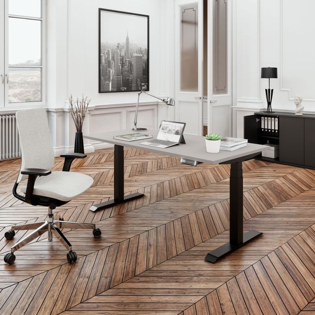TELDRA Pro, 2-Motoren-Schreibtisch | 1600 - 2000 mm, elektrisch höhenverstellbar, Linoleum Pebble TELDRA Pro, 2-Motoren-Schreibtisch | 1600 - 2000 mm, elektrisch höhenverstellbar, Linoleum Pebble