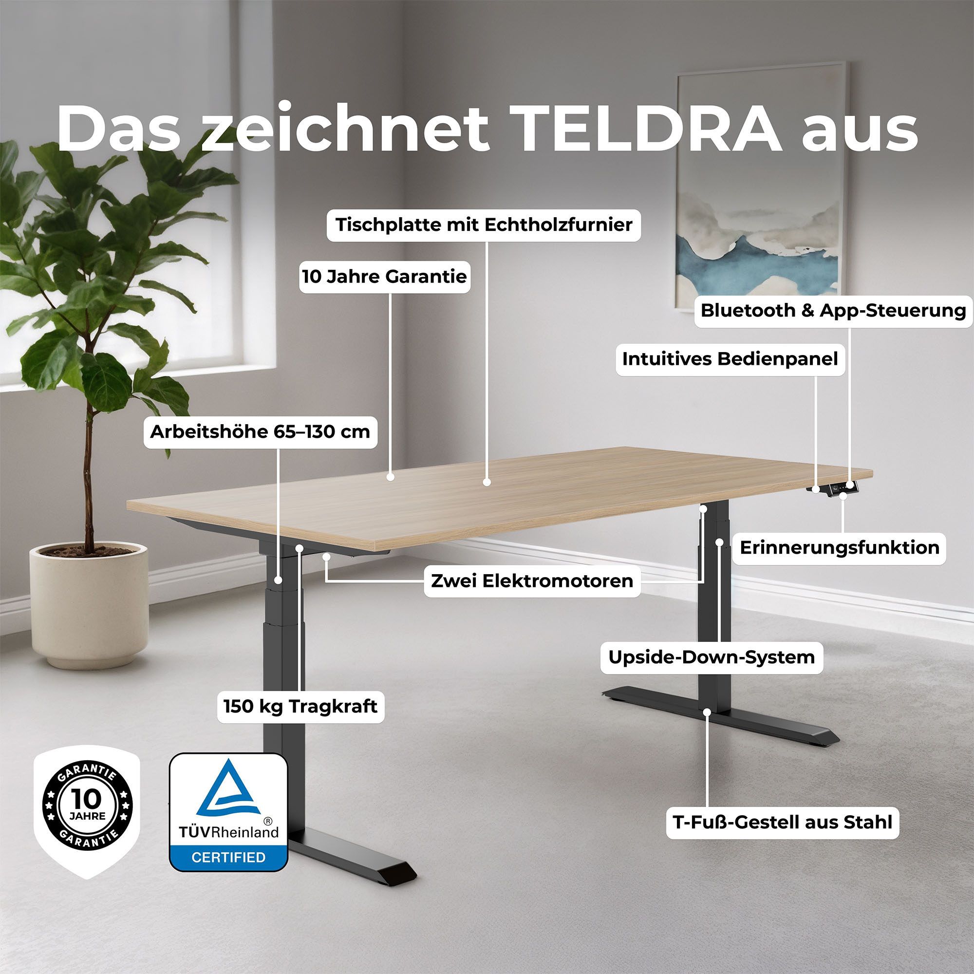 TELDRA Pro, 2-Motoren-Schreibtisch | 1600 - 2000 mm, elektrisch höhenverstellbar, Echtholz-Furnier Eiche - 13 Main Image