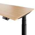 TELDRA Pro, Desk a 2 motori | 1600 - 2000 mm, regolabile in altezza elettricamente, vera quercia in legno in legno - 6 Thumbnail Image