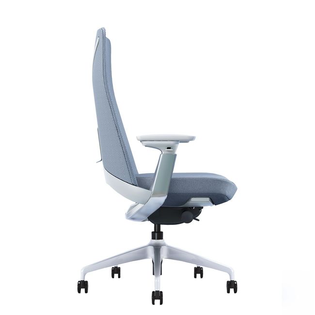 YUCAN Chaise de bureau pivotante | accoudoirs 4D, mécanisme synchrone, appui-tête en option, gris argenté  - 9 Main Image