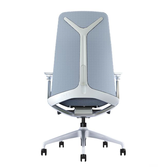 YUCAN Chaise de bureau pivotante | accoudoirs 4D, mécanisme synchrone, appui-tête en option, gris argenté  - 10 Main Image