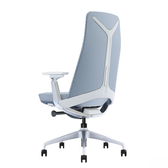 YUCAN Chaise de bureau pivotante | accoudoirs 4D, mécanisme synchrone, appui-tête en option, gris argenté  - 11 Main Image