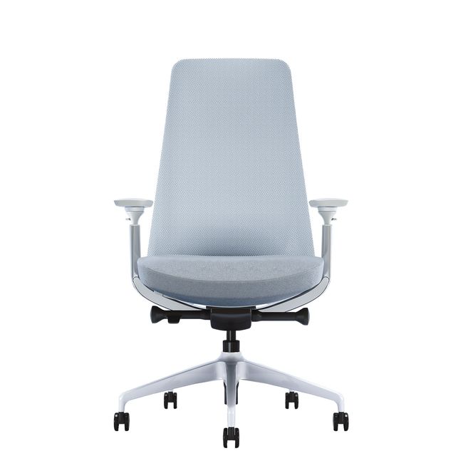 YUCAN Chaise de bureau pivotante | accoudoirs 4D, mécanisme synchrone, appui-tête en option, gris argenté  - 12 Main Image