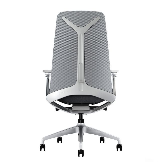 YUCAN Bürodrehstuhl | 4D-Armlehnen, Synchronmechanik, Silbergrau