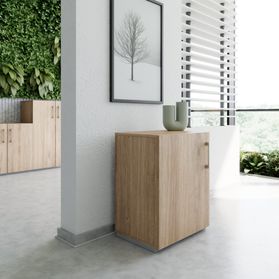 PRO Flügeltürenschrank | 2 OH, 400 - 600 x 770 mm, Soft-Close, Natureiche
