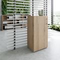 PRO Flügeltürenschrank | 3 OH, 400 - 600 x 1140 mm, Soft-Close, Natureiche