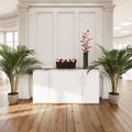 PRO Buffet | 2 OH, 1600 x 860 mm, avec plateau en verre, blanc - 16 Thumbnail Image