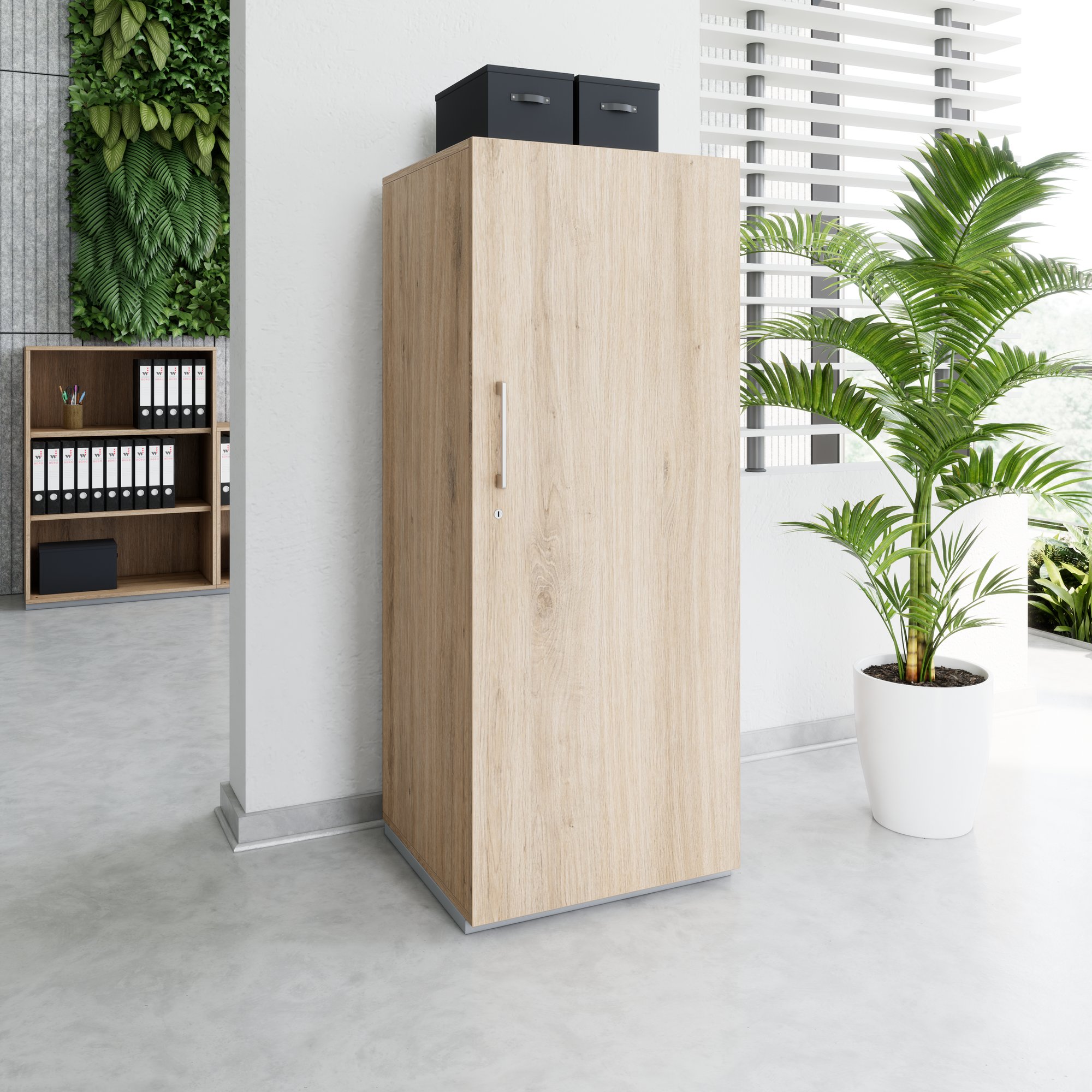 PRO Gabinetto di Cloakroom | 4 OH, 400 - 600 x 1510 mm, morbido, quercia naturale - 14 Main Image
