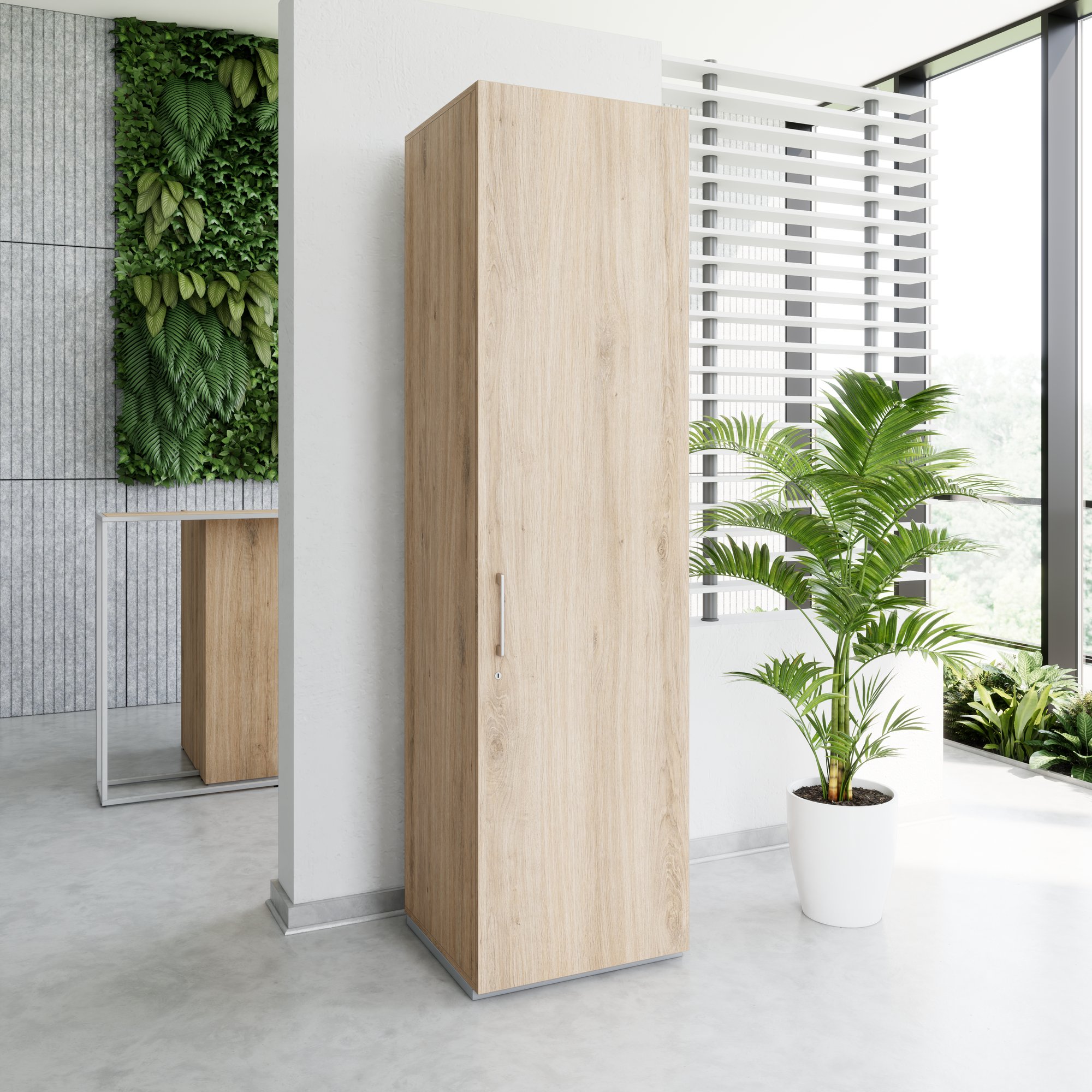 PRO Gabinetto di Cloakroom | 6 OH, 400 - 600 x 2250 mm, morbido -close, area naturale - 14 Main Image