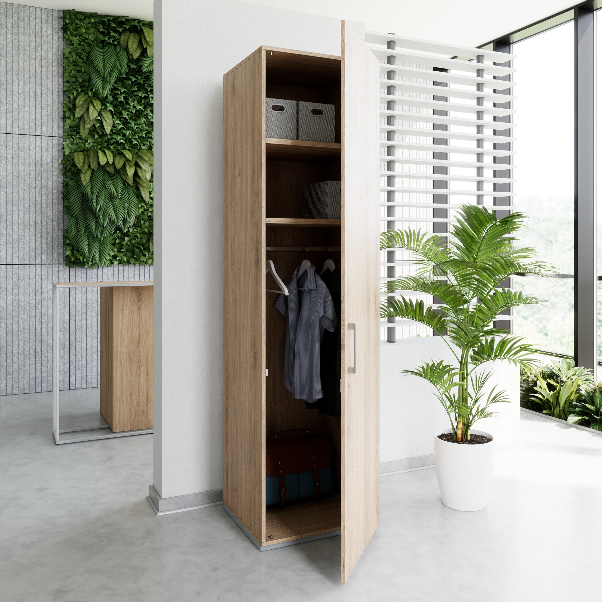 PRO Gabinetto di Cloakroom | 6 OH, 400 - 600 x 2250 mm, morbido -close, area naturale - 15 Main Image