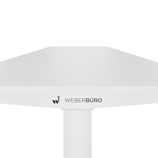 TELDRA Home, 2-Motoren-Schreibtisch | 1200 - 1600 mm, elektrisch höhenverstellbar, Weiß