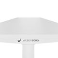 TELDRA Home, Desk a 2 motori | 1200 - 1600 mm, regolabile in altezza elettricamente, bianco - 5 Thumbnail Image