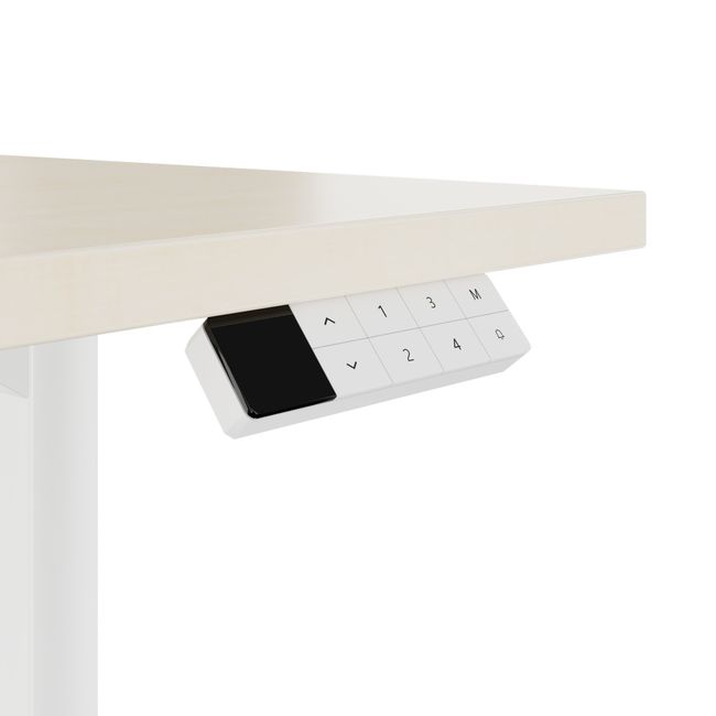 TELDRA Home, 2-Motoren-Schreibtisch | 1600 x 800 mm, elektrisch höhenverstellbar, Ahorn