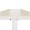 TELDRA Home, 2-Motoren-Schreibtisch | 1600 x 800 mm, elektrisch höhenverstellbar, Ahorn