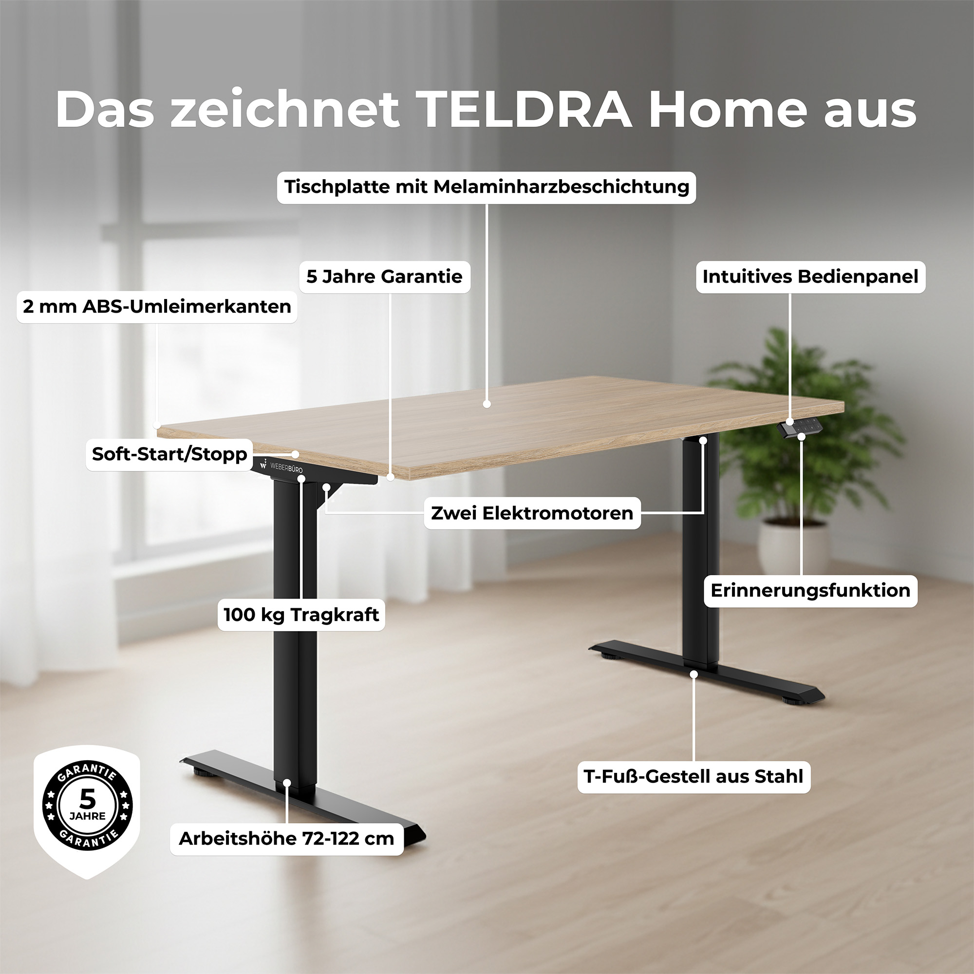 TELDRA Home, 2-Motoren-Schreibtisch | 1600 x 800 mm, elektrisch höhenverstellbar,            Wildeiche - 10 Main Image