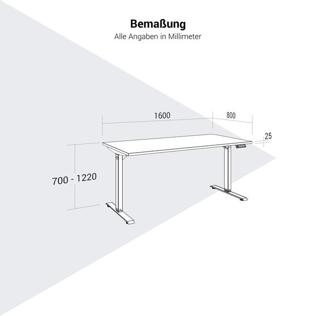 TELDRA Home, 2-Motoren-Schreibtisch | 1600 x 800 mm, elektrisch höhenverstellbar,            Wildeiche