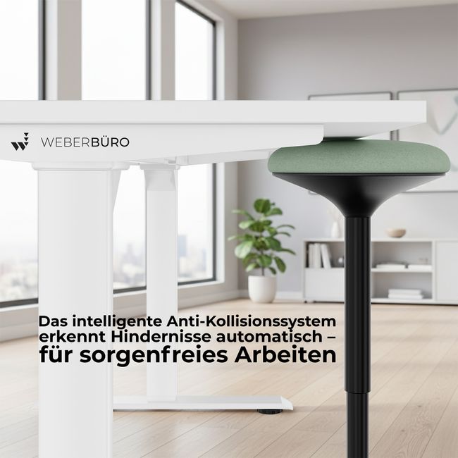 TELDRA Home, 2-Motoren-Schreibtisch | 1600 x 800 mm, elektrisch höhenverstellbar,            Wildeiche