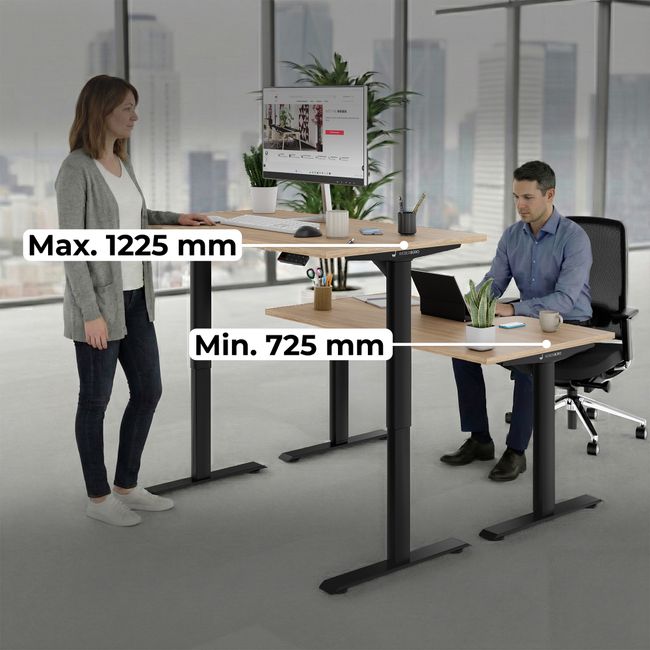 TELDRA Home, 2-Motoren-Schreibtisch | 1600 x 800 mm, elektrisch höhenverstellbar,            Wildeiche