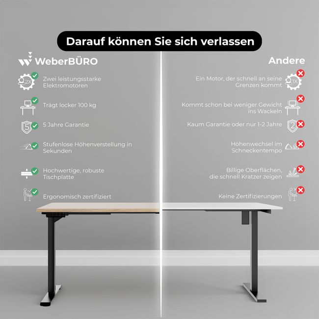 TELDRA Home, 2-Motoren-Schreibtisch | 1600 x 800 mm, elektrisch höhenverstellbar,            Wildeiche