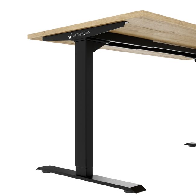 TELDRA Home, 2-Motoren-Schreibtisch | 1600 x 800 mm, elektrisch höhenverstellbar,            Wildeiche
