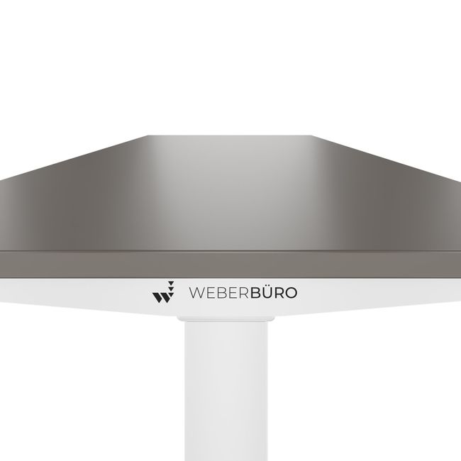TELDRA Home, 2-Motoren-Schreibtisch | 1600 x 800 mm, elektrisch höhenverstellbar, Cubanitgrau