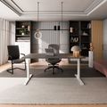 TELDRA Home, 2-Motoren-Schreibtisch | 1600 x 800 mm, elektrisch höhenverstellbar, Cubanitgrau