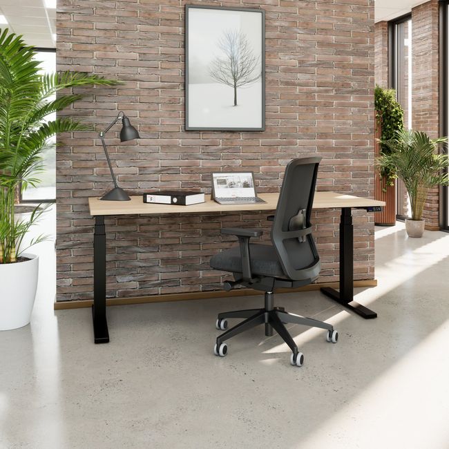 TELDRA Office, 2-Motoren-Schreibtisch | 1200 - 2000 mm, elektrisch höhenverstellbar, Bernsteineiche