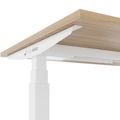 TELDRA Office, 2-Motoren-Schreibtisch | 1200 - 2000 x 800 mm, elektrisch höhenverstellbar, Bernsteineiche TELDRA Office, 2-Motoren-Schreibtisch | 1200 - 2000 x 800 mm, elektrisch höhenverstellbar, Bernsteineiche