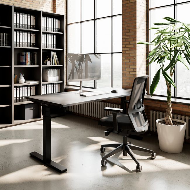 TELDRA Office, 2-Motoren-Schreibtisch | 1600 - 1800 mm, elektrisch höhenverstellbar, Anthrazit