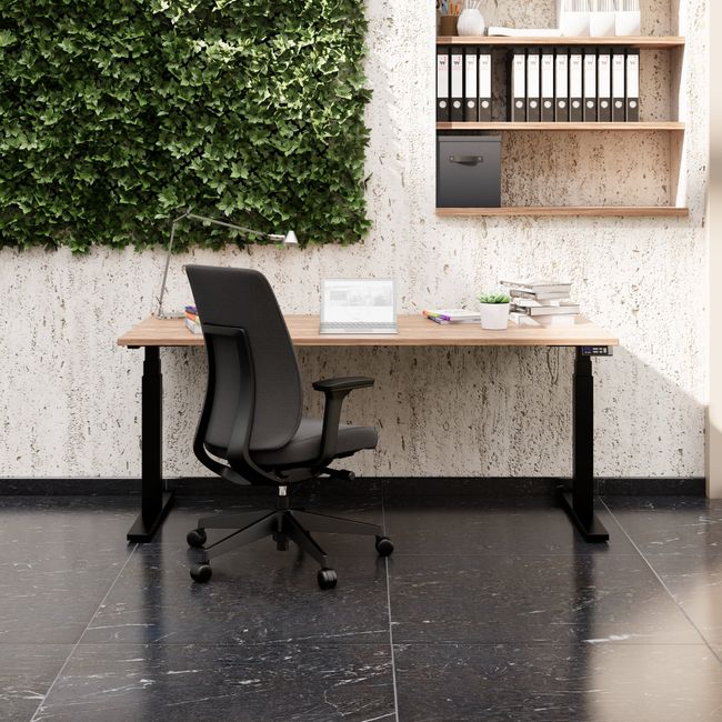 TELDRA Office, 2-Motoren-Schreibtisch | 1600 - 1800 mm, elektrisch höhenverstellbar, Echtholz-Furnier Nussbaum