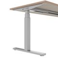 TELDRA Office, 2-Motoren-Schreibtisch | 1600 - 1800 x 800 mm, elektrisch höhenverstellbar, Echtholz-Furnier Nussbaum