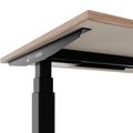TELDRA Office, Bureau à 2 moteurs | 1600 - 1800 x 800 mm, réglable à la hauteur électrique, en noyer en placage en bois réel - 5 Thumbnail Image