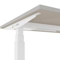 TELDRA Office, 2-motor desk | 1600 - 1800 x 800 mm, electrically height adjustable, linoleum Pebble - 5 Thumbnail Image