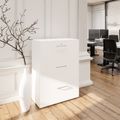 PRO Topping Register Gabinet | 3 OH, 800 x 1140 mm, corpus incollato, bianco - 13 Thumbnail Image
