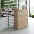 PRO Topping Register Gabinet | 3 OH, 800 x 1140 mm, corpus incollato, quercia naturale - 3 Thumbnail Image
