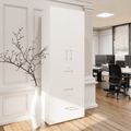 PRO Armoire de registre de garniture | 6 oh, 800 x 2250 mm, corpus collé, avec porte, blanc - 3 Thumbnail Image