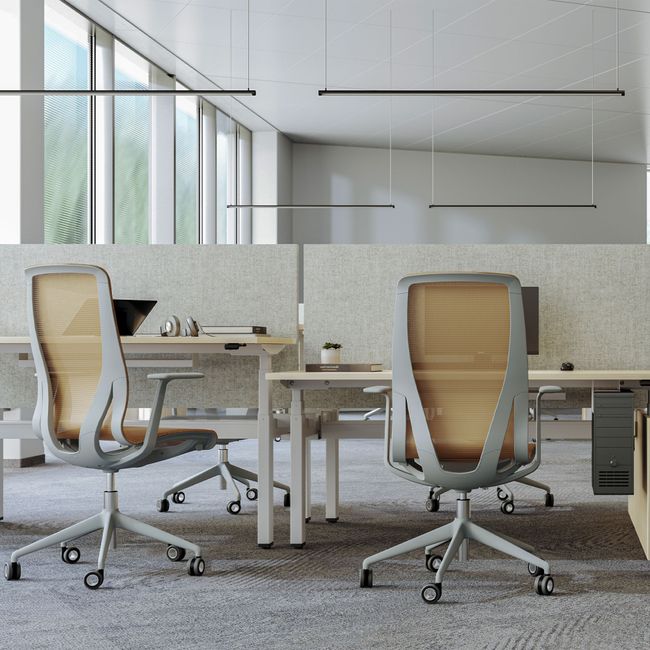 D-CHAIR Bürodrehstuhl | Synchronmechanik, 5-Stern-Fußkreuz