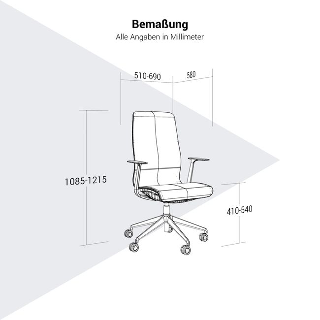 D-CHAIR Bürodrehstuhl | Synchronmechanik, 5-Stern-Fußkreuz