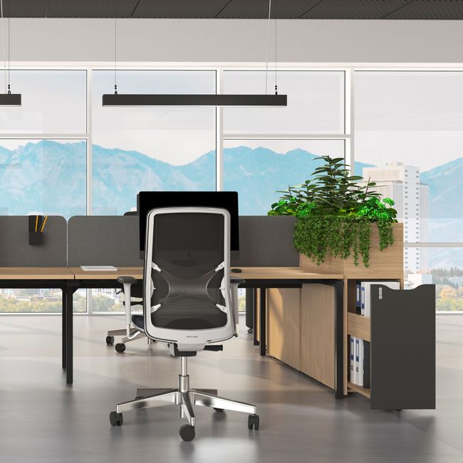 BOXI Blumenkasten | 800-820 mm BOXI Blumenkasten | 800-820 mm
