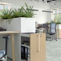BOXI Blumenkasten | 800-820 mm BOXI Blumenkasten | 800-820 mm