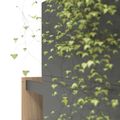 BOXI Blumenkasten | 800-820 mm BOXI Blumenkasten | 800-820 mm