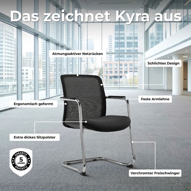 KYRA Freischwinger |   Feste Armlehnen, Grau