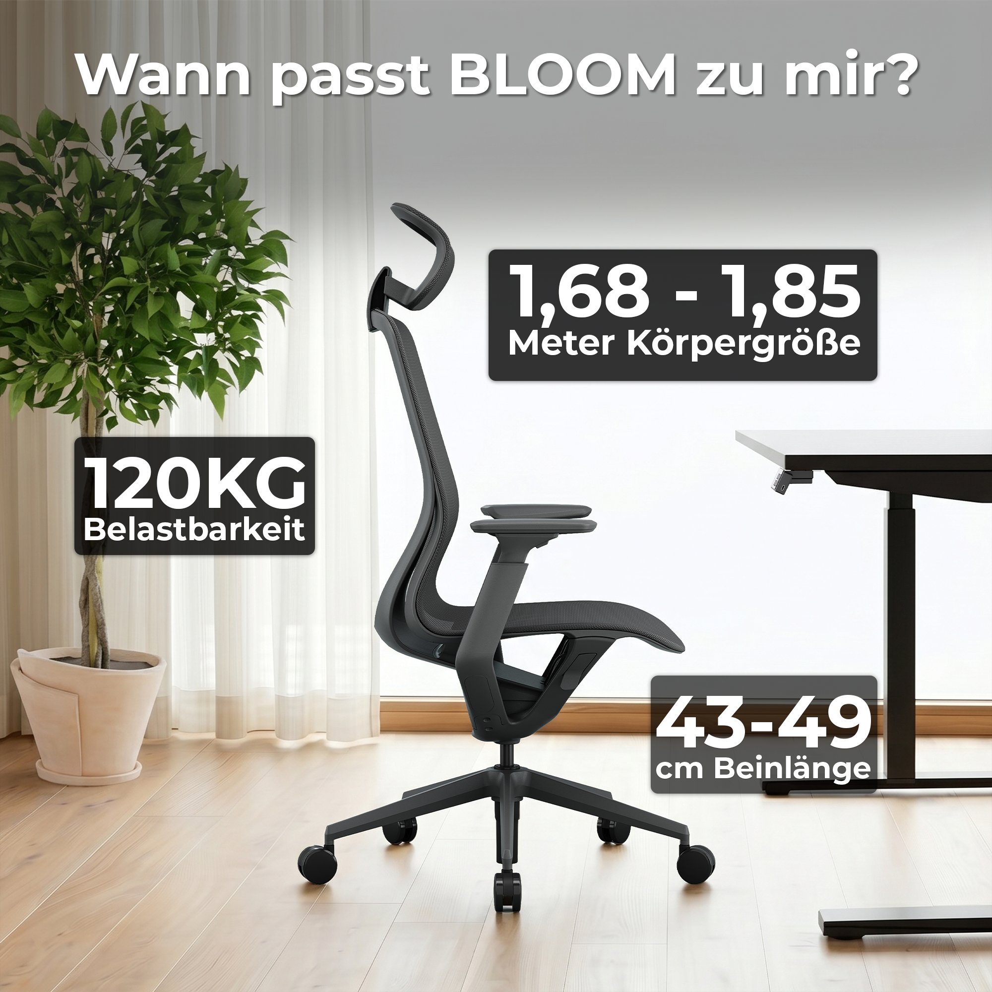 Chaise pivotante Bloom Office | Accoudoirs 3D, appui-tête, corail - 19 Main Image
